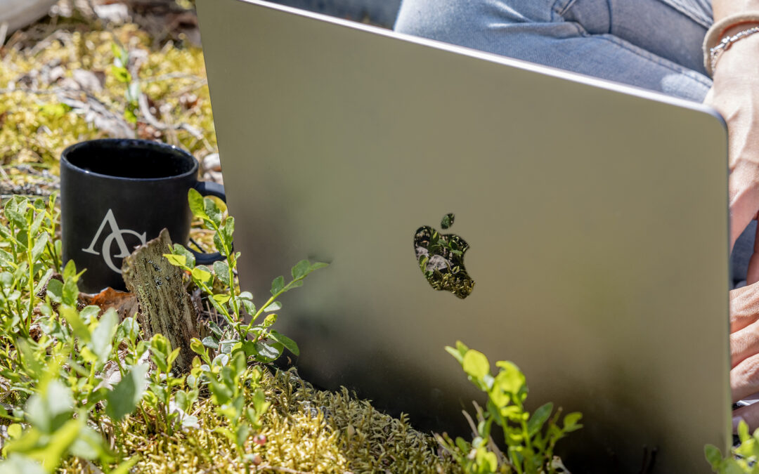 Green SEO / Climate change SEO: En hållbar framtid för digital marknadsföring
